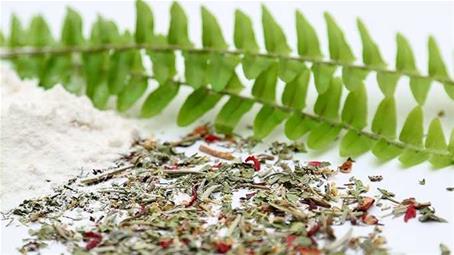 آیا مکمل‌های گیاهی شانس باردار شدن را افزایش می‌دهد؟